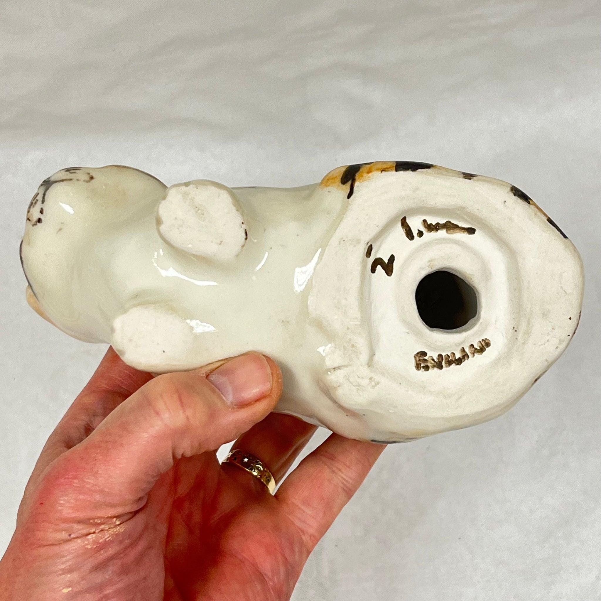 Winstanley Tortie & White Cat Crouching - Size 2