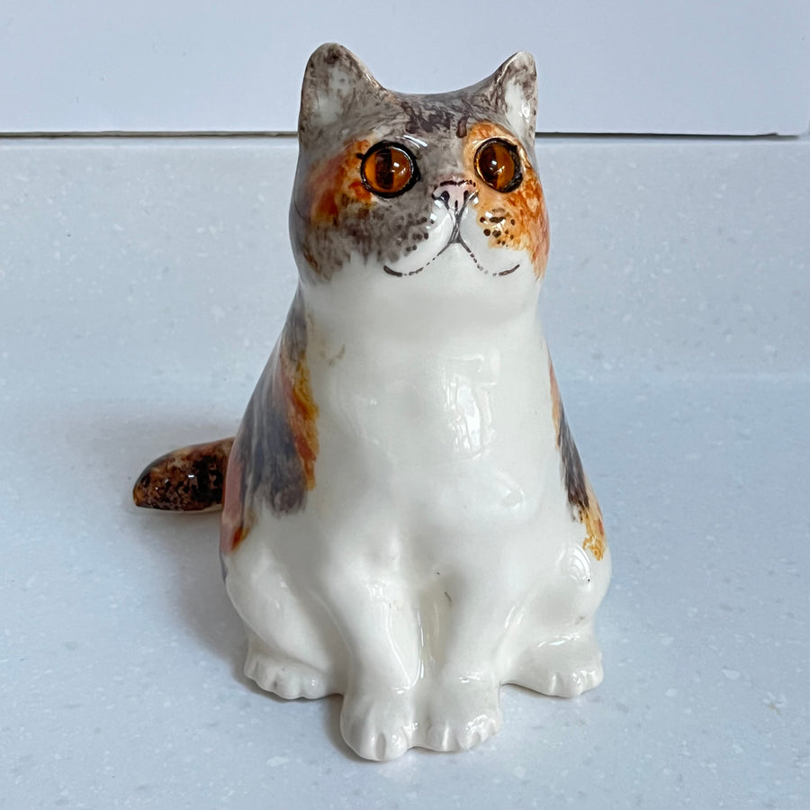 Winstanley Chubby Tortie - Size 3