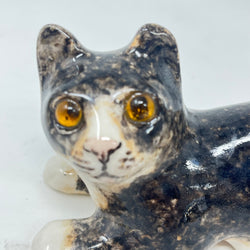 Winstanley Dark Brindle Cat - Size 1