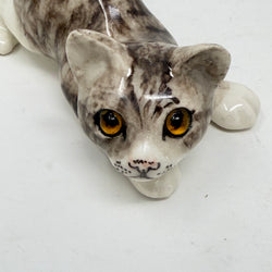 Winstanley Grey & White Playful Cat - Size 1