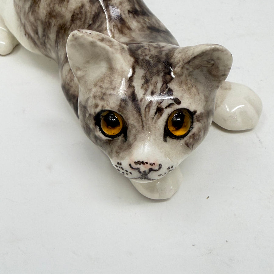Winstanley Grey & White Playful Cat - Size 1