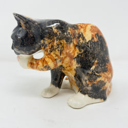 Winstanley Tortie Cat Licking Paw - Size 3