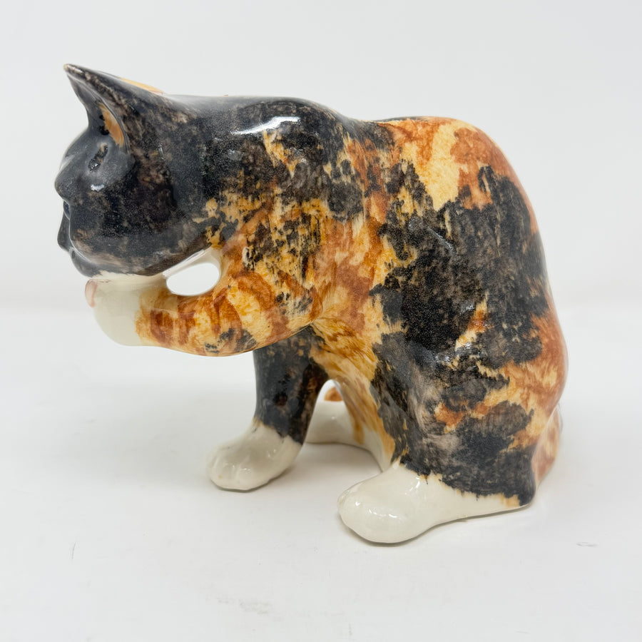 Winstanley Tortie Cat Licking Paw - Size 3