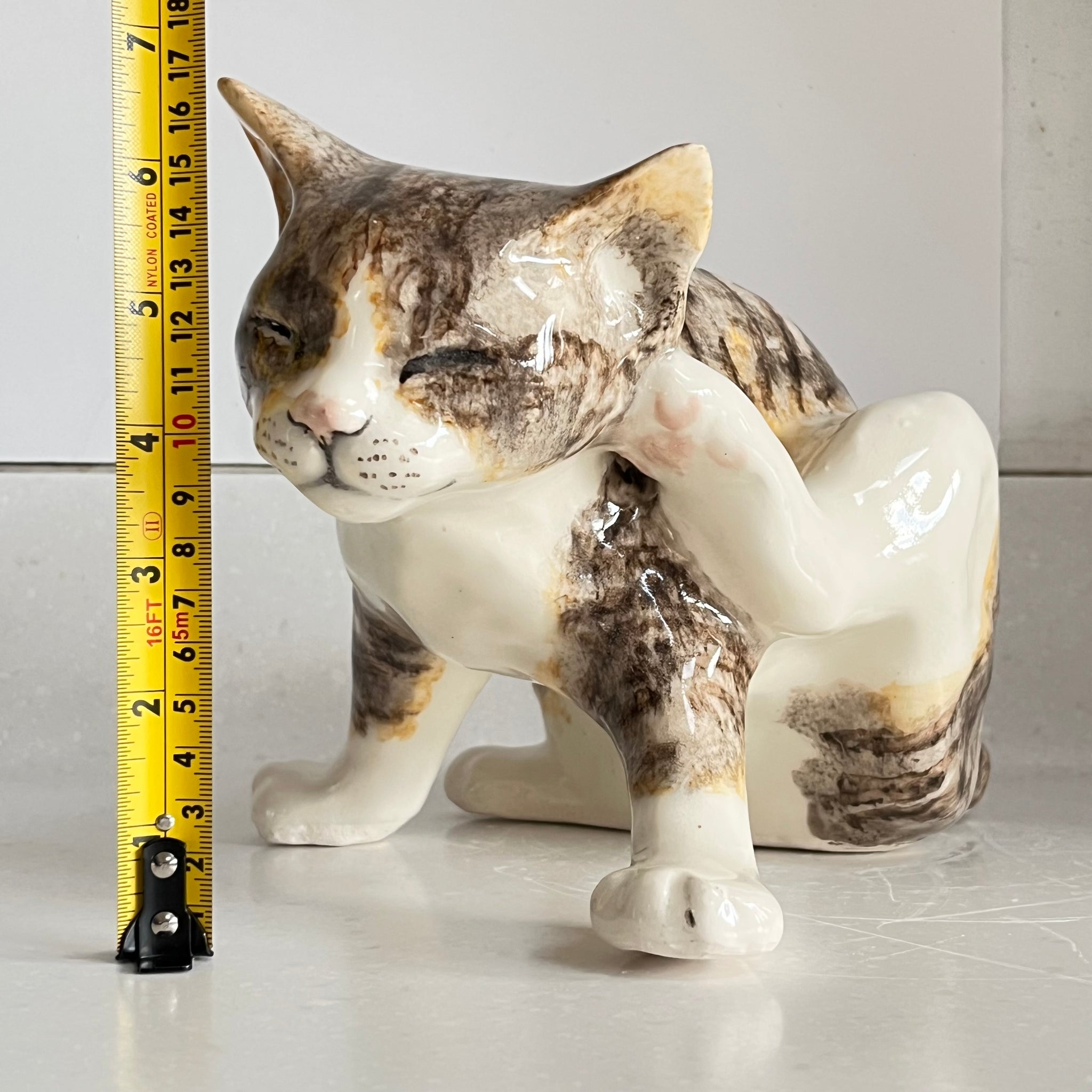 Winstanley Tabby Cat Scratching - Size 5