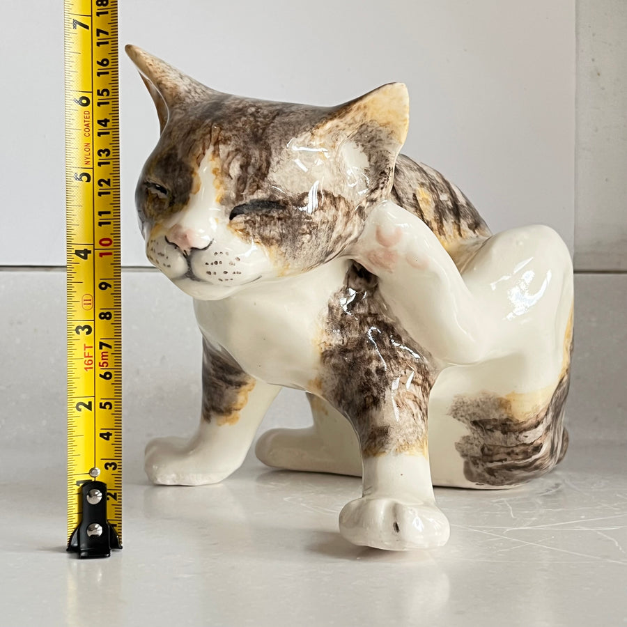 Winstanley Tabby Cat Scratching - Size 5
