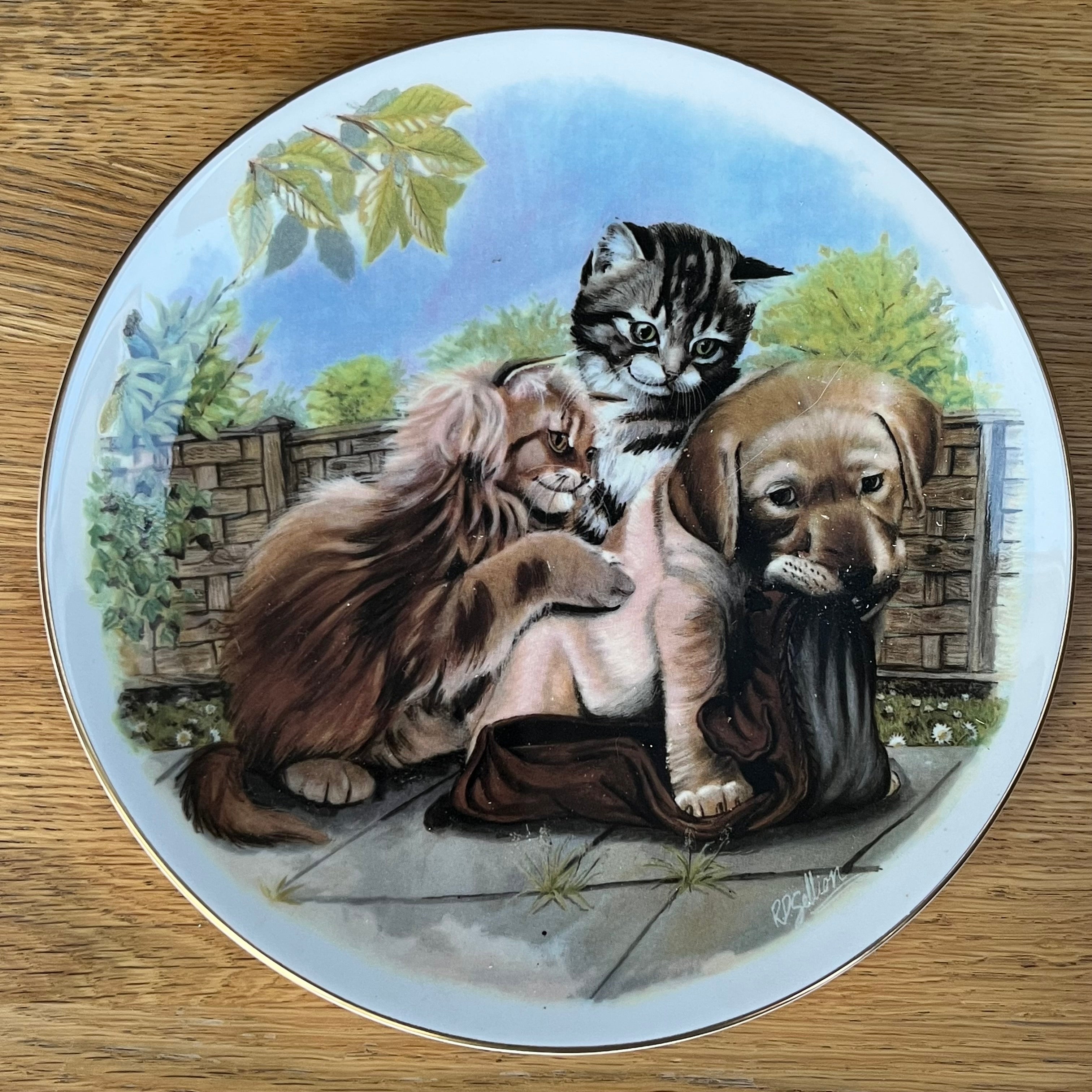 Vintage Plate Find Your Own Shoe by Royal Albert