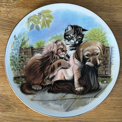 Vintage Plate Find Your Own Shoe by Royal Albert