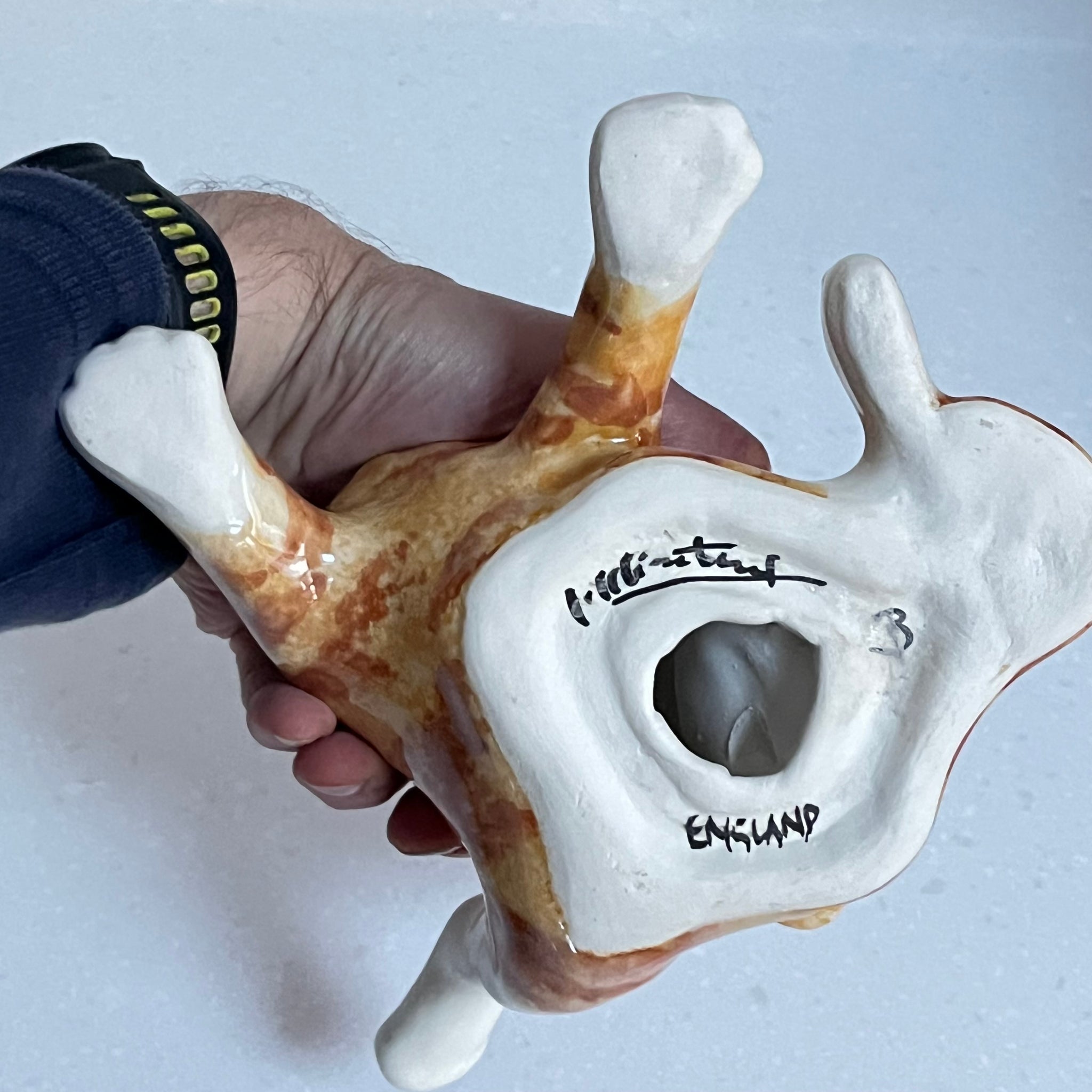 Winstanley Ginger Cat Washing  - Size 3