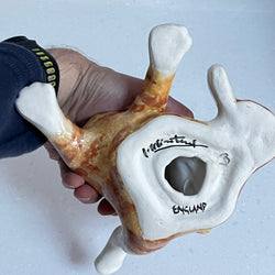 Winstanley Ginger Cat Washing  - Size 3