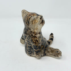 Winstanley Tabby Paws Cat Size 2