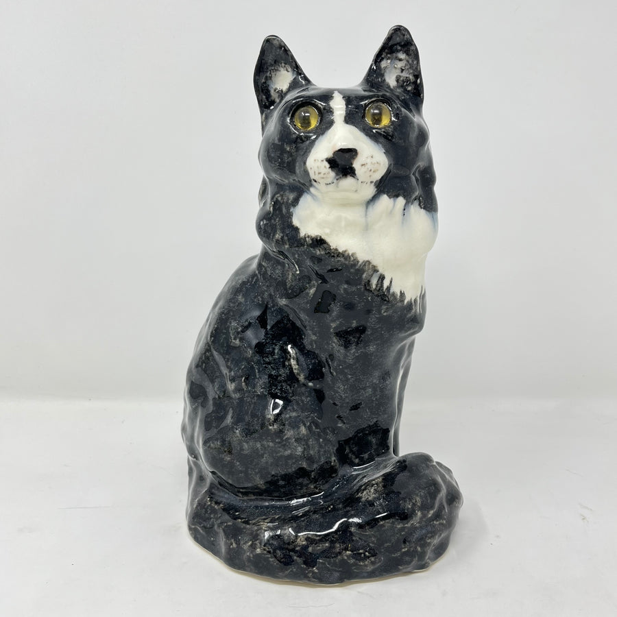Winstanley Long Haired Black & White Cat - Size 4