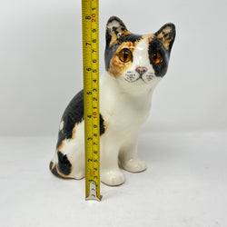Winstanley Calico Cat Sitting Up - Size 3