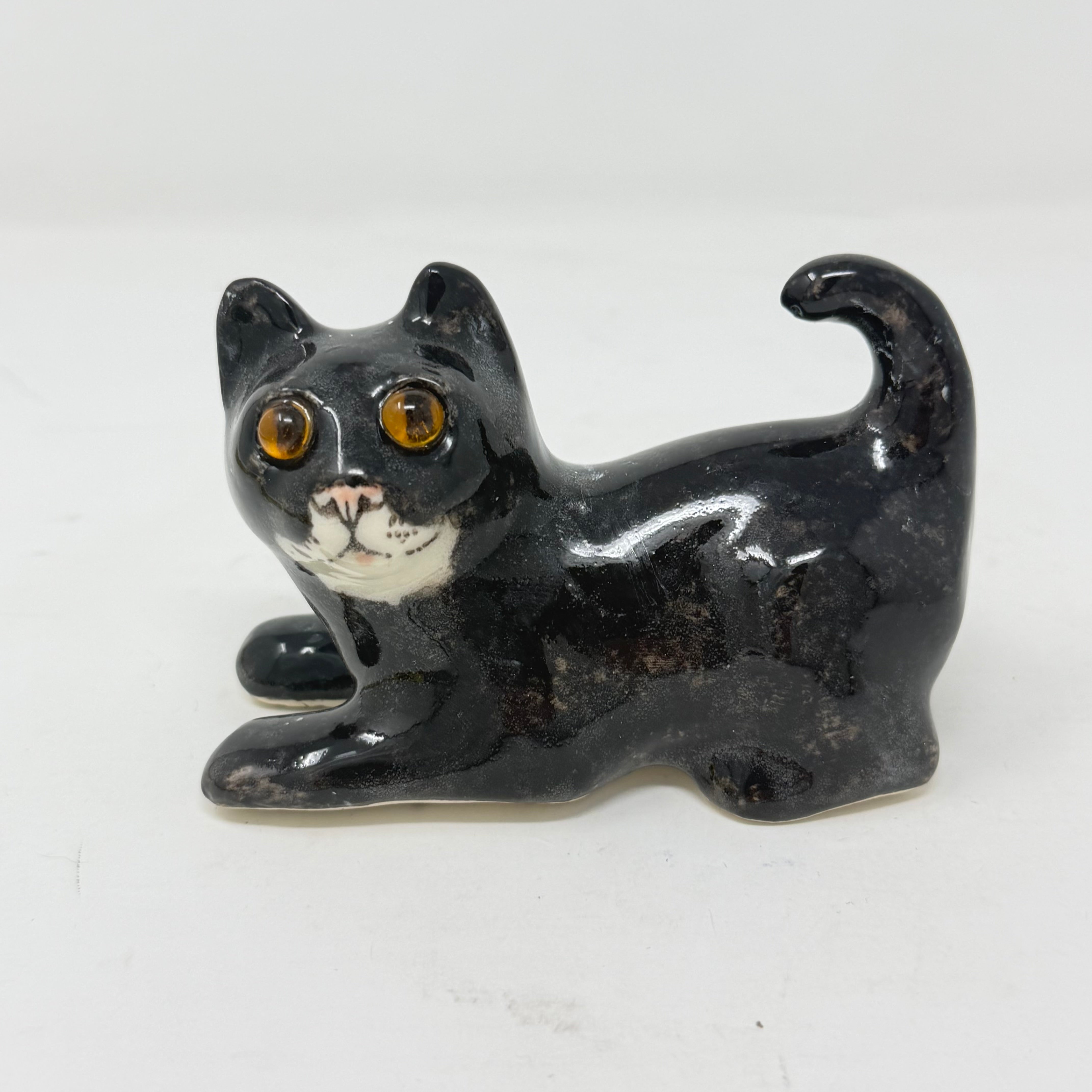 Winstanley Black & White Playful Cat - Size 1