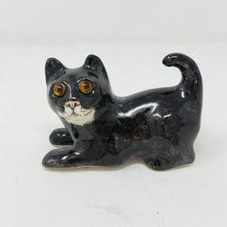 Winstanley Black & White Playful Cat - Size 1