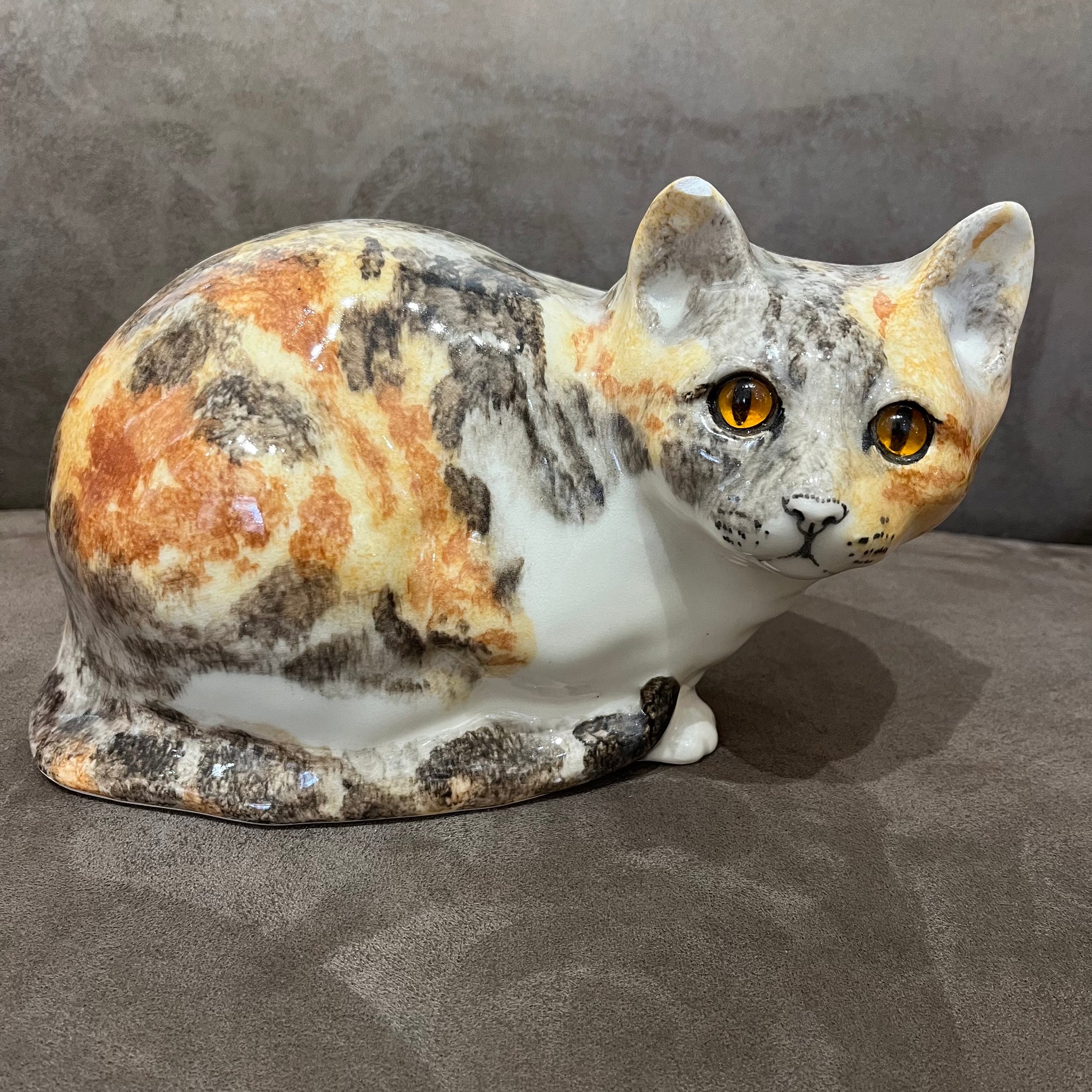 Winstanley Tortie & White - Size 5 - reduced due to small ear chip