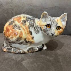 Winstanley Tortie & White - Size 5 - reduced due to small ear chip