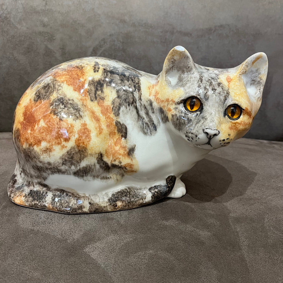 Winstanley Tortie & White - Size 5 - reduced due to small ear chip