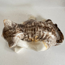 Winstanley Tabby Cat Scratching - Size 5