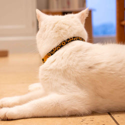 Sunflower Design Safety Cat Collar