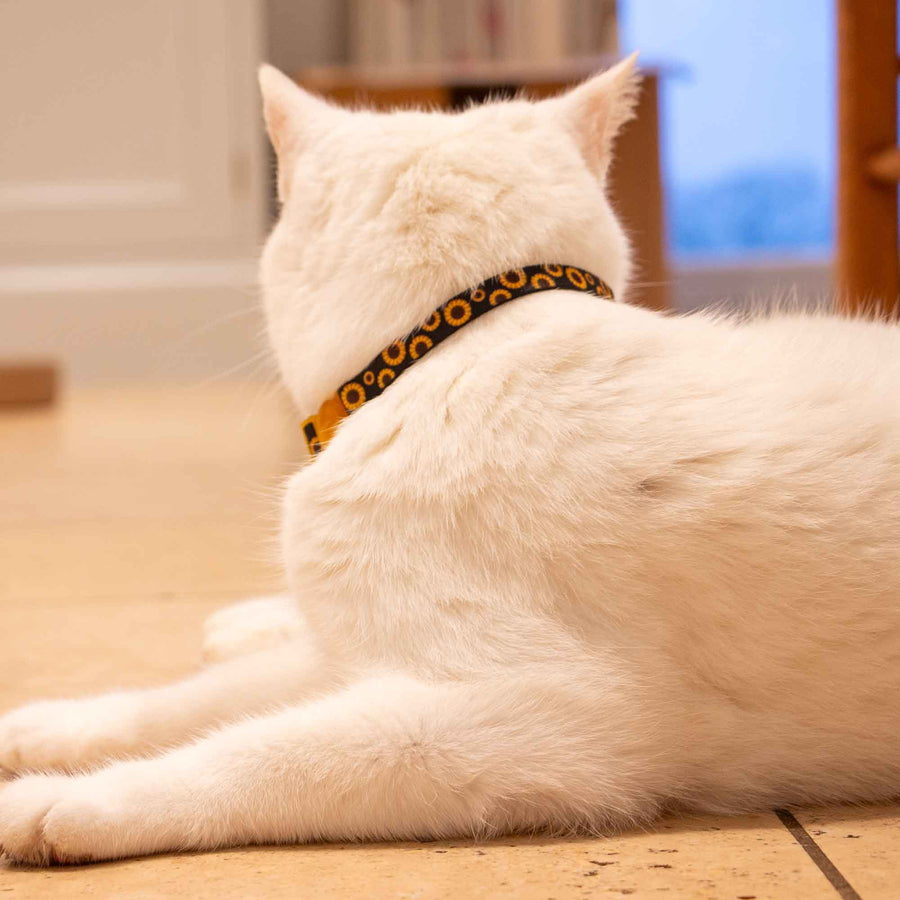 Sunflower Design Safety Cat Collar
