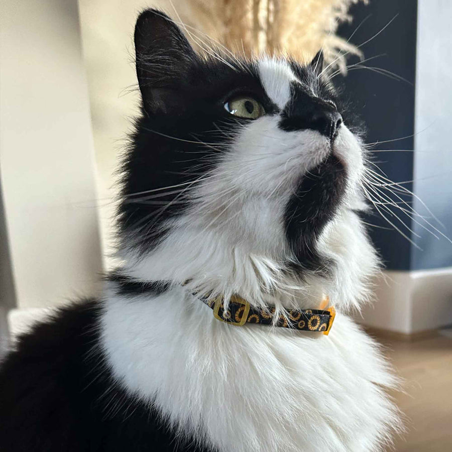 Sunflower Design Safety Cat Collar