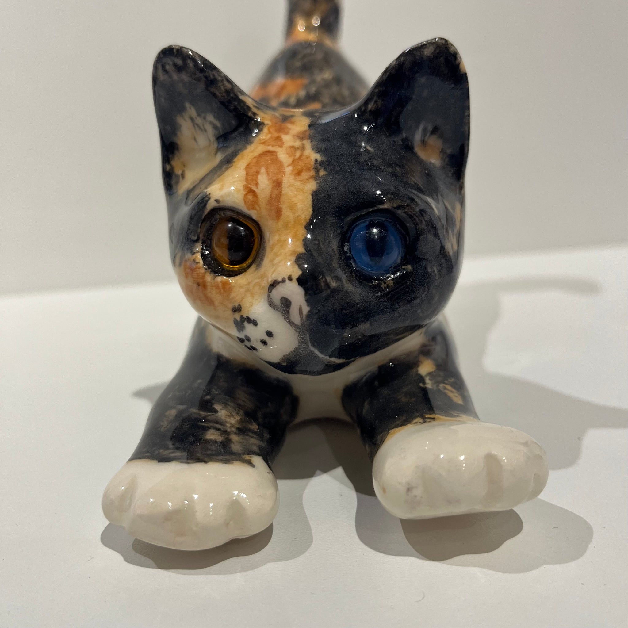 Tortie Winstanley Cat - Size 3