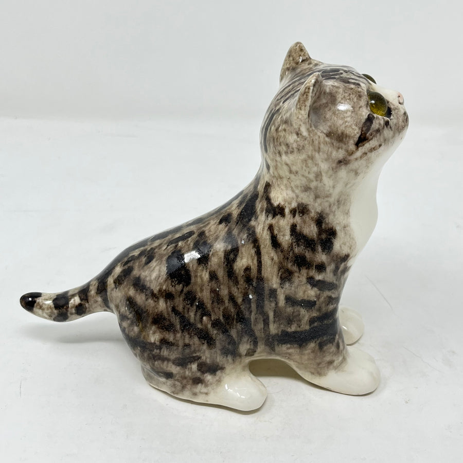 Winstanley Light Grey Tabby Cat Looking Up - Size 2