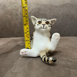 Winstanley Tabby & White Size 2