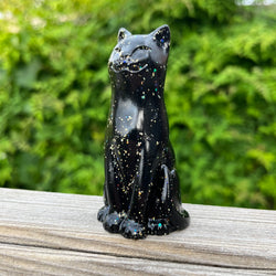 Holographic Black Cat
