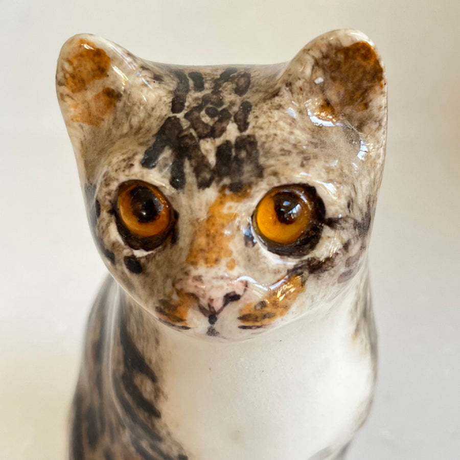 Winstanley Tabby and White Kitten - Size 1