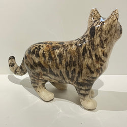 Tabby & White Winstanley Cat - Size 4