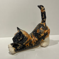 Tortie Winstanley Cat - Size 3