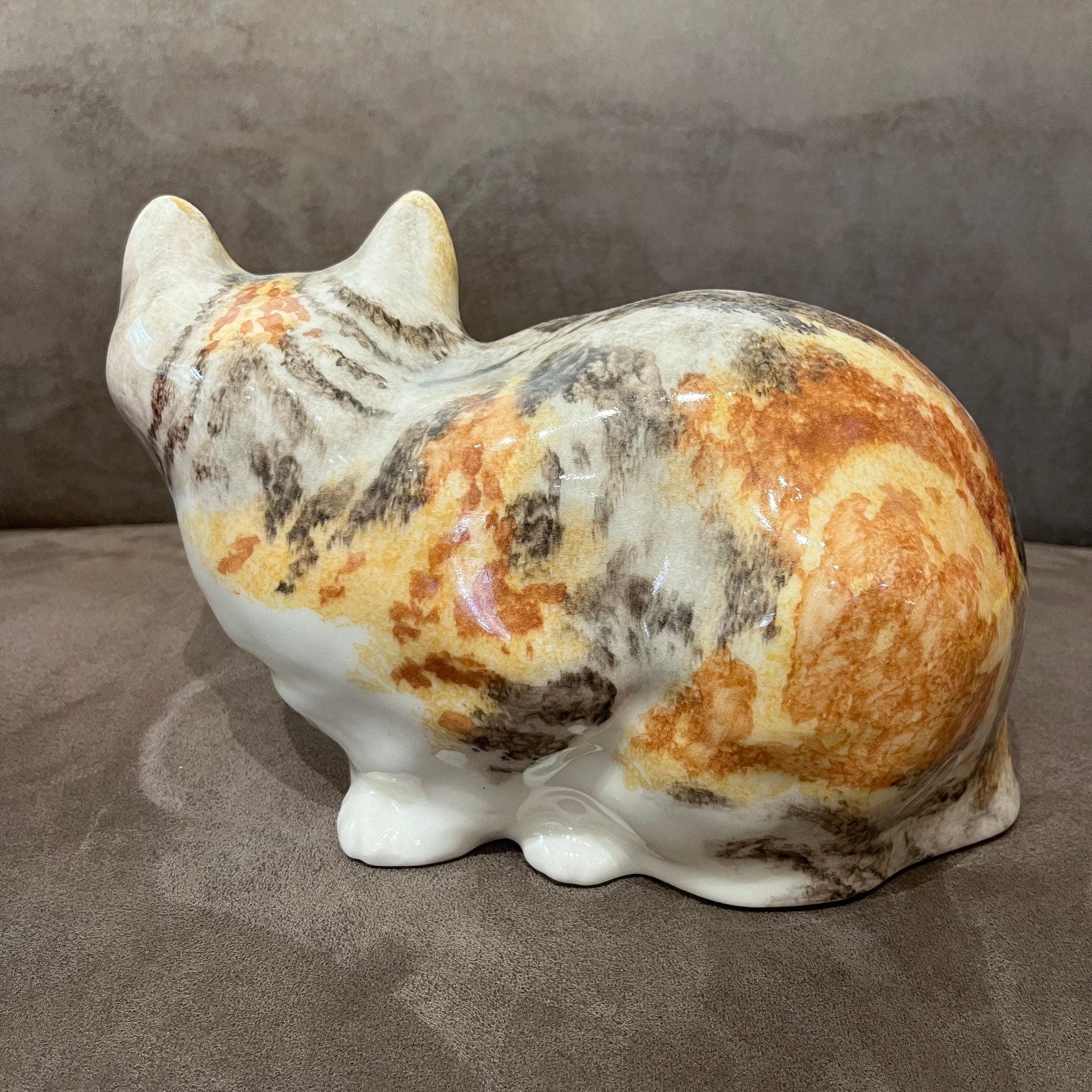 Winstanley Tortie & White - Size 5 - reduced due to small ear chip