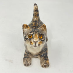 Winstanley Tabby & White Cat Looking Up - Size 1