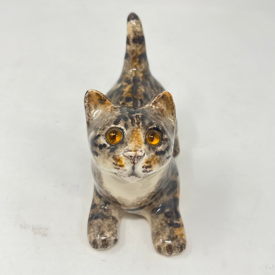 Winstanley Tabby & White Cat Looking Up - Size 1