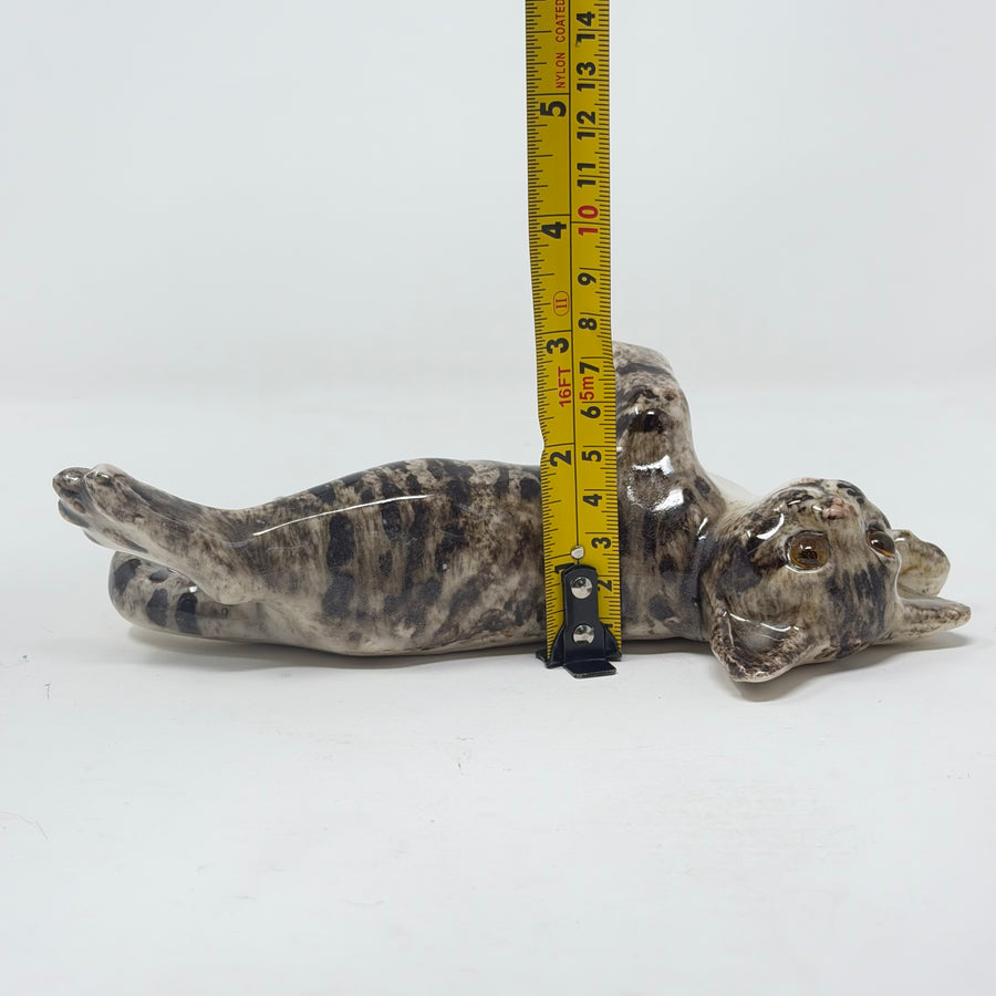 Winstanley Playful Tabby Cat Size 2