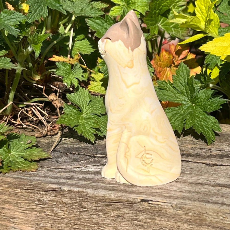 Tiramisu Original Lucky Cat