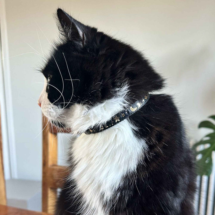 Moon & Stars Safety Cat Collar