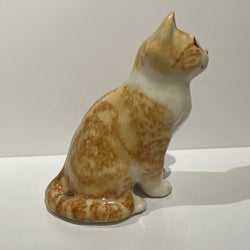 Ginger & White Winstanley Cat - Size 3