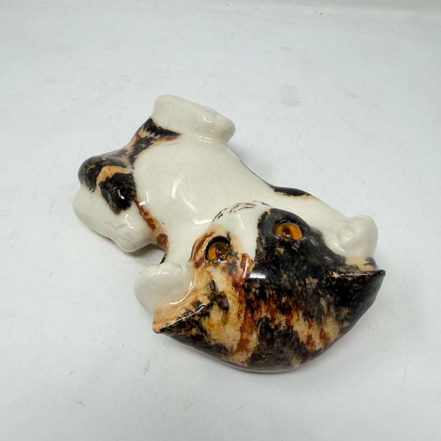 Winstanley Tortie & White On Back Size 2