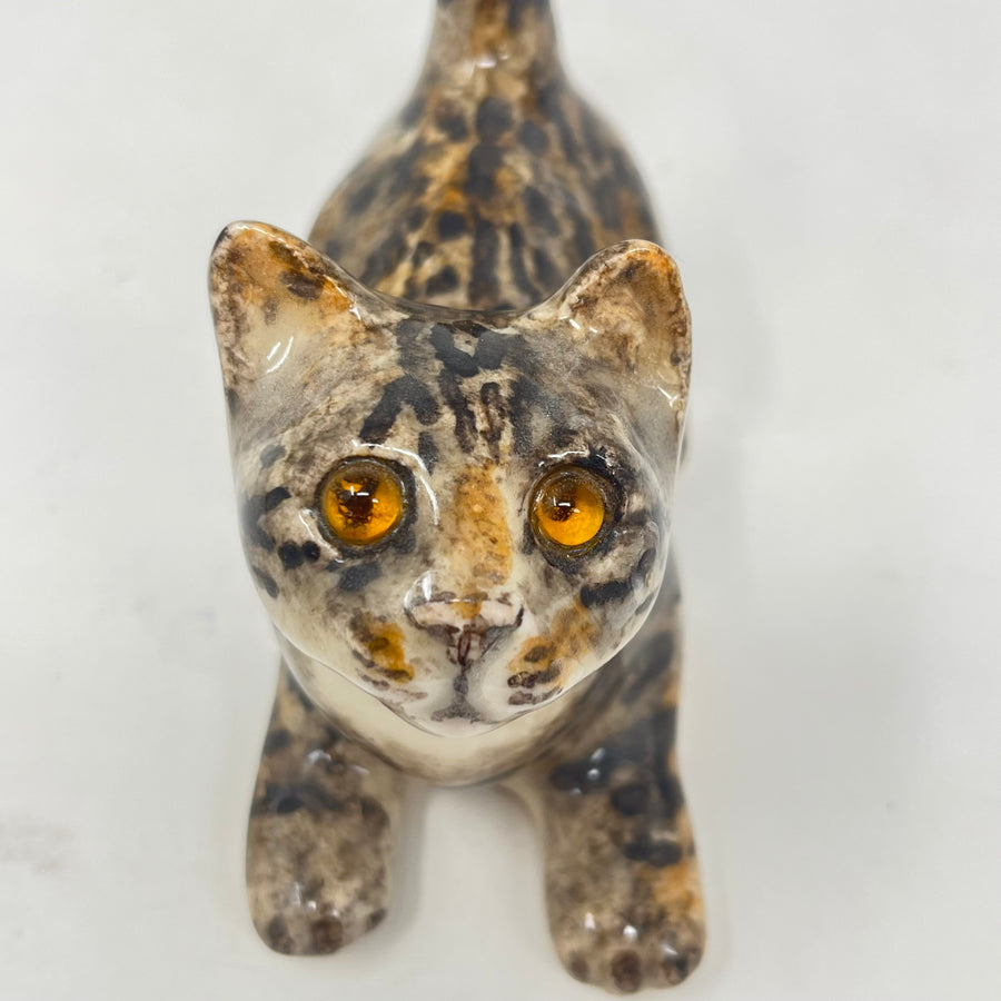 Winstanley Tabby & White Cat Looking Up - Size 1