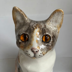 Winstanley Tabby Cat - Size 7