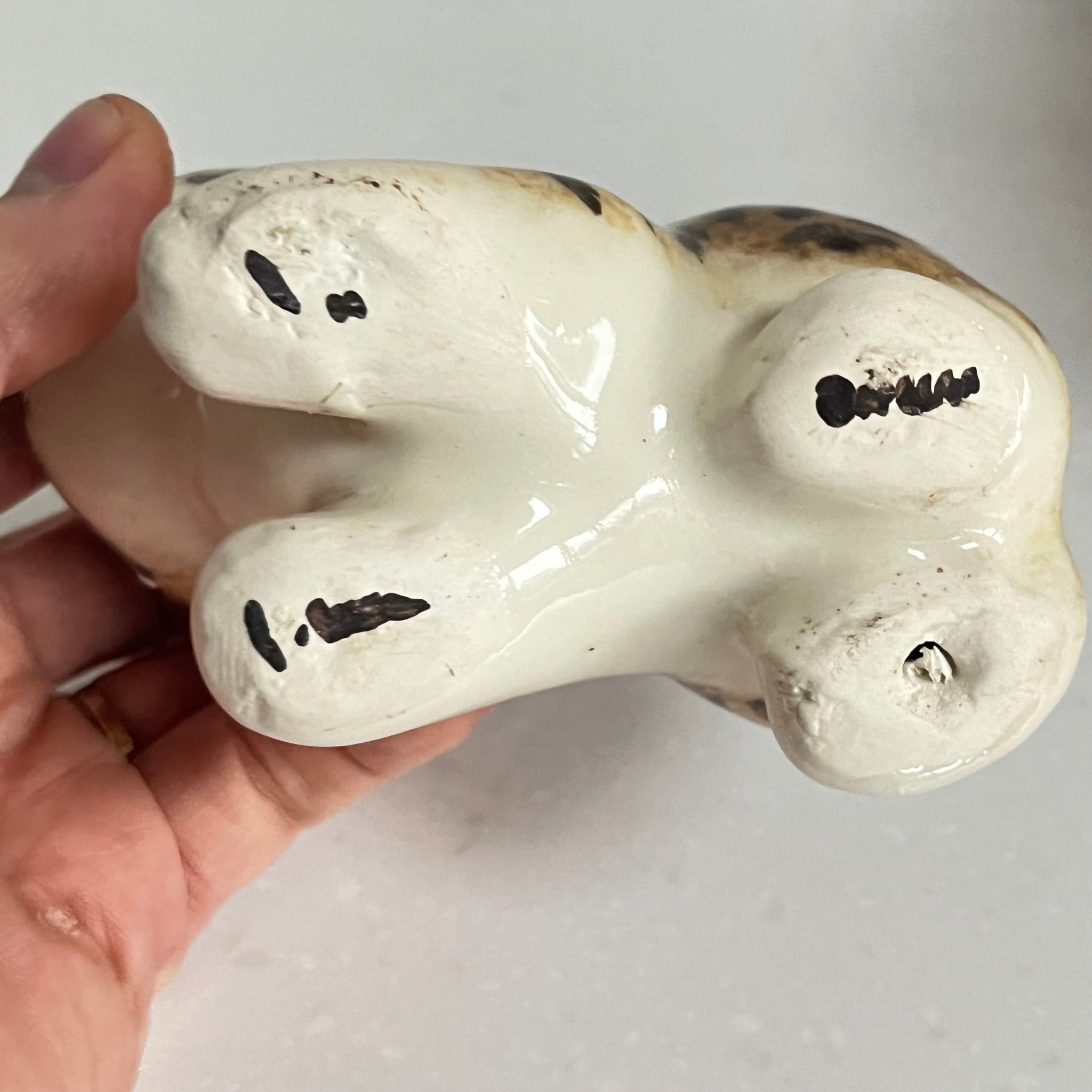 Winstanley Bengal Kitten - Size 1