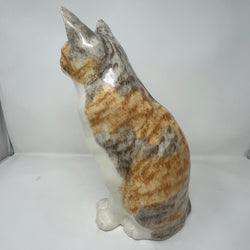 Winstanley Calico Cat Sitting - Size 7