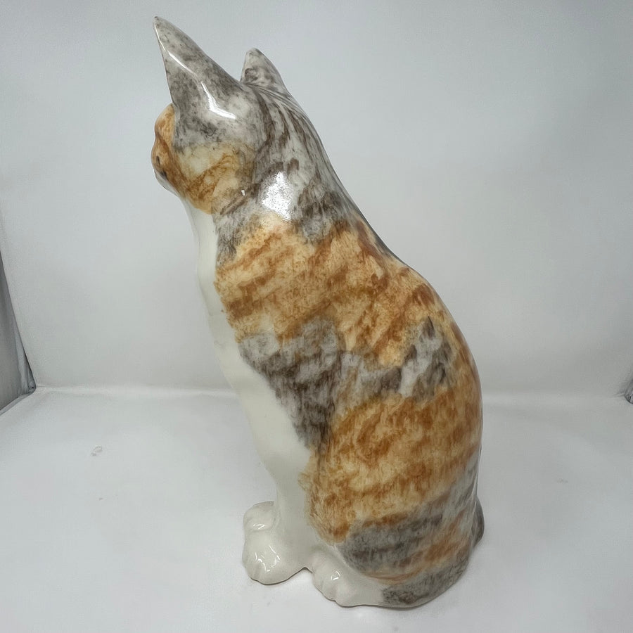 Winstanley Calico Cat Sitting - Size 7