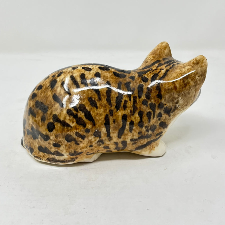 Winstanley Bengal Style Tabby & White - Size 2