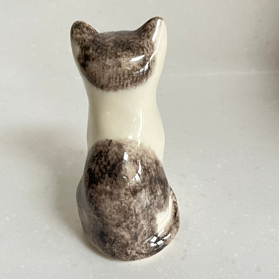 Winstanley Grey and White Kitten - Size 1