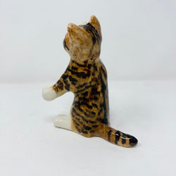 Winstanley Tabby Cat Paw Up Size 2