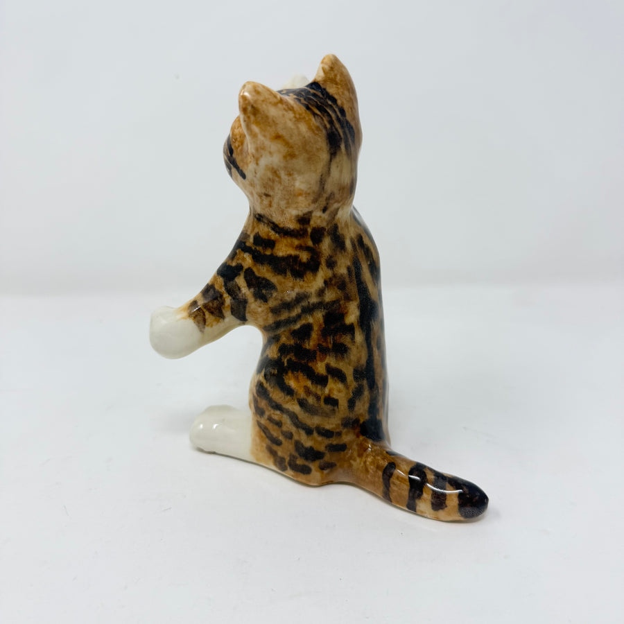 Winstanley Tabby Cat Paw Up Size 2