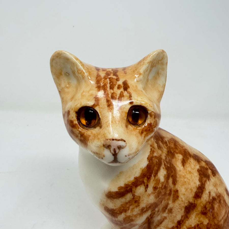 Winstanley Ginger & White Sitting Up Size 2